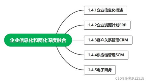 系统集成项目管理工程师 第1章 信息化知识——企业信息化工程要点解析